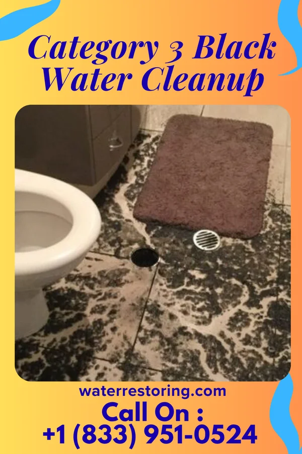 Category 3 Black Water Cleanup in North Haven, NY